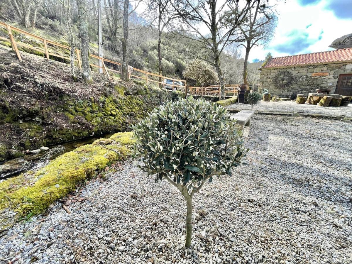 Moinho de Brião Montalegre Exterior foto